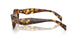 14L70T - Tortoise - Green/brown