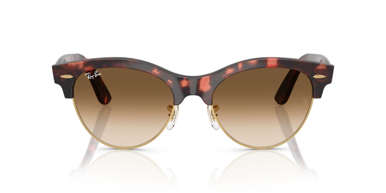 143251 - Havana - Clear Gradient Brown