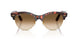 143251 - Havana - Clear Gradient Brown