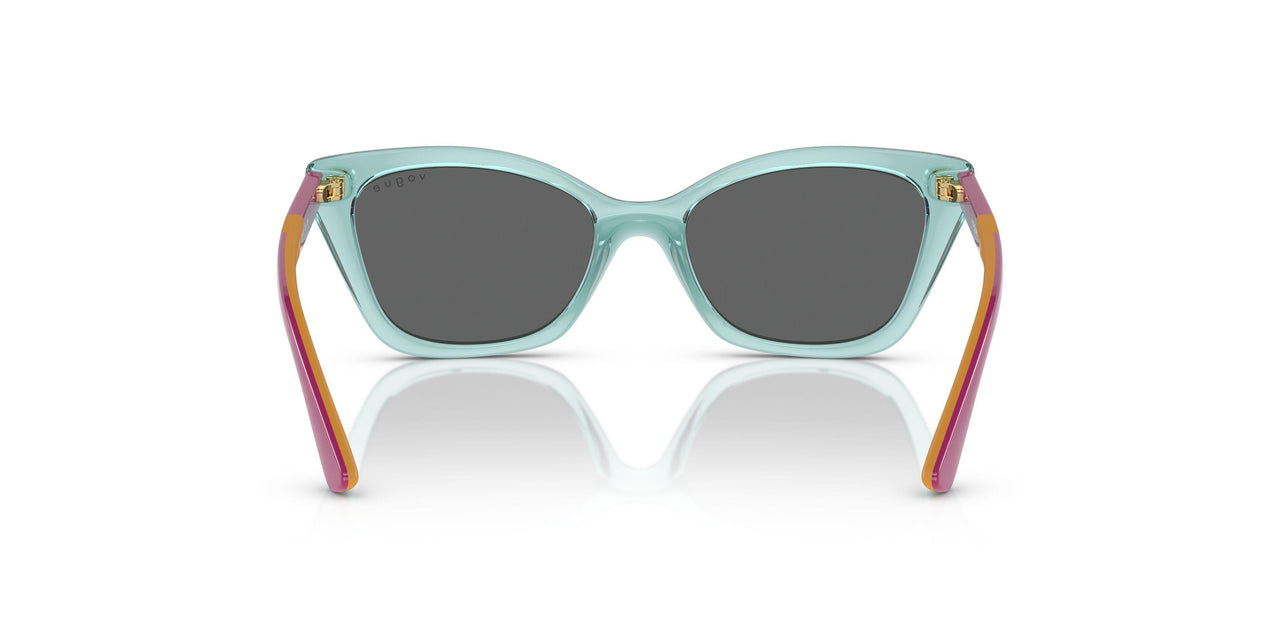303287 - Transparent Sage - Dark Grey