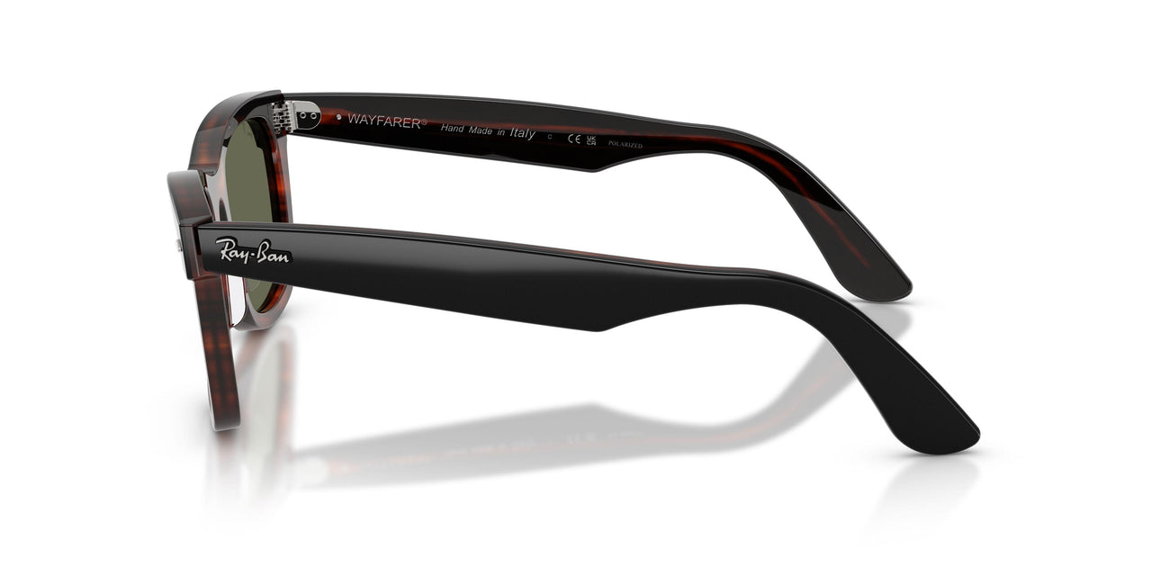 144058 - Black - Polarized Green