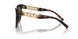 8015T5 - Tortoise - Polar Brown Gradient