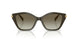 40193M - Green - Olive Gradient