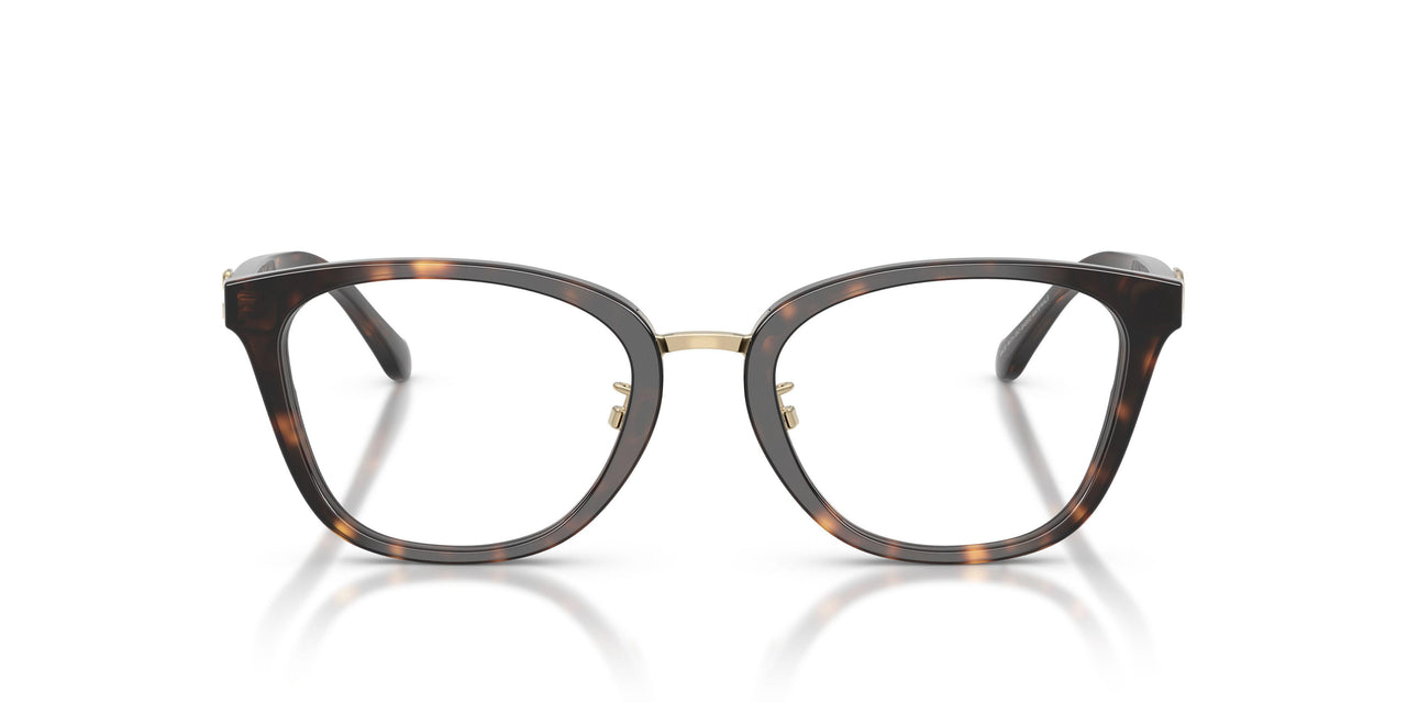 5120 - Tortoise