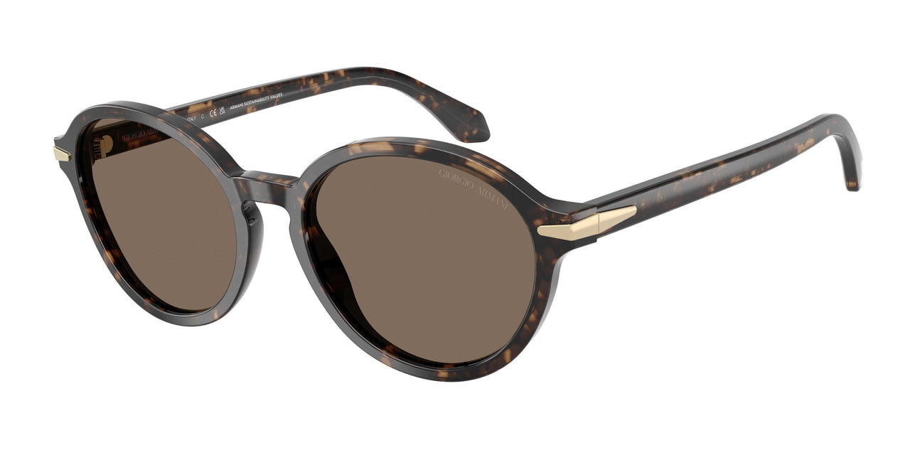 Giorgio Armani 8237F Sunglasses