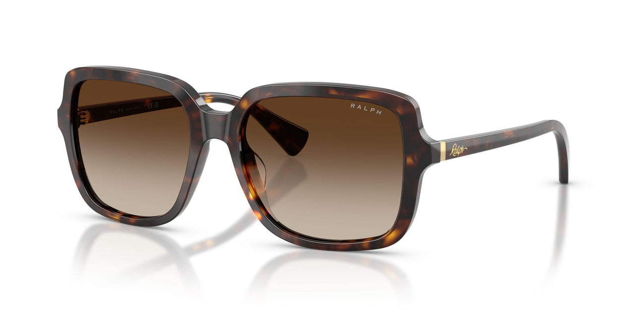 500313 - Tortoise - Brown Gradient