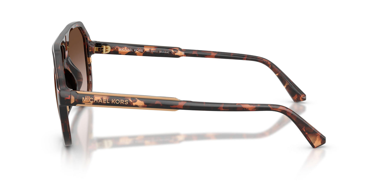 300613 - Tortoise - Smoke Gradient