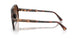 300613 - Tortoise - Smoke Gradient
