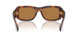 306373 - Tortoise - Bronze