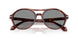 623402 - Tortoise - Blue