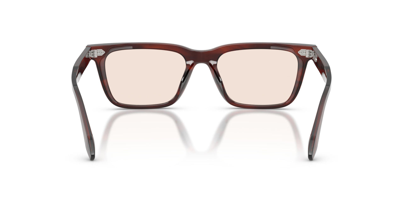 1818 - Brown
