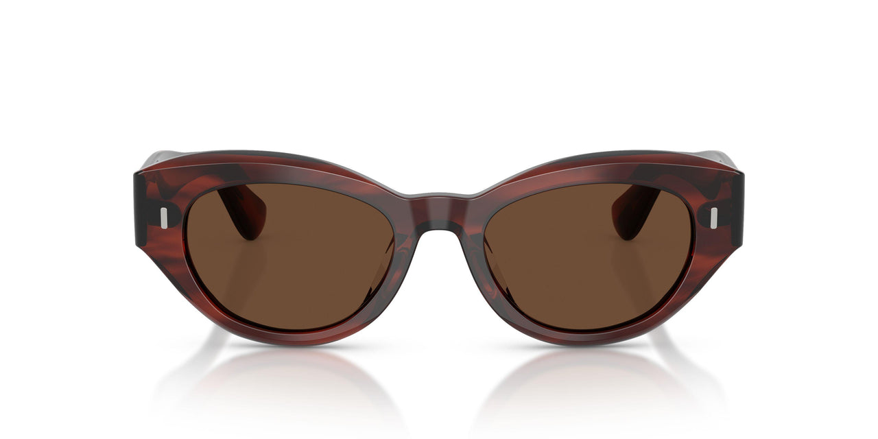 1818AN - Brown - Terra Polarized