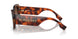 331613 - Tortoise - Brown Gradient
