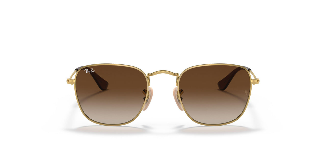 223/13 - Gold - Brown Gradient