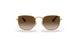 223/13 - Gold - Brown Gradient