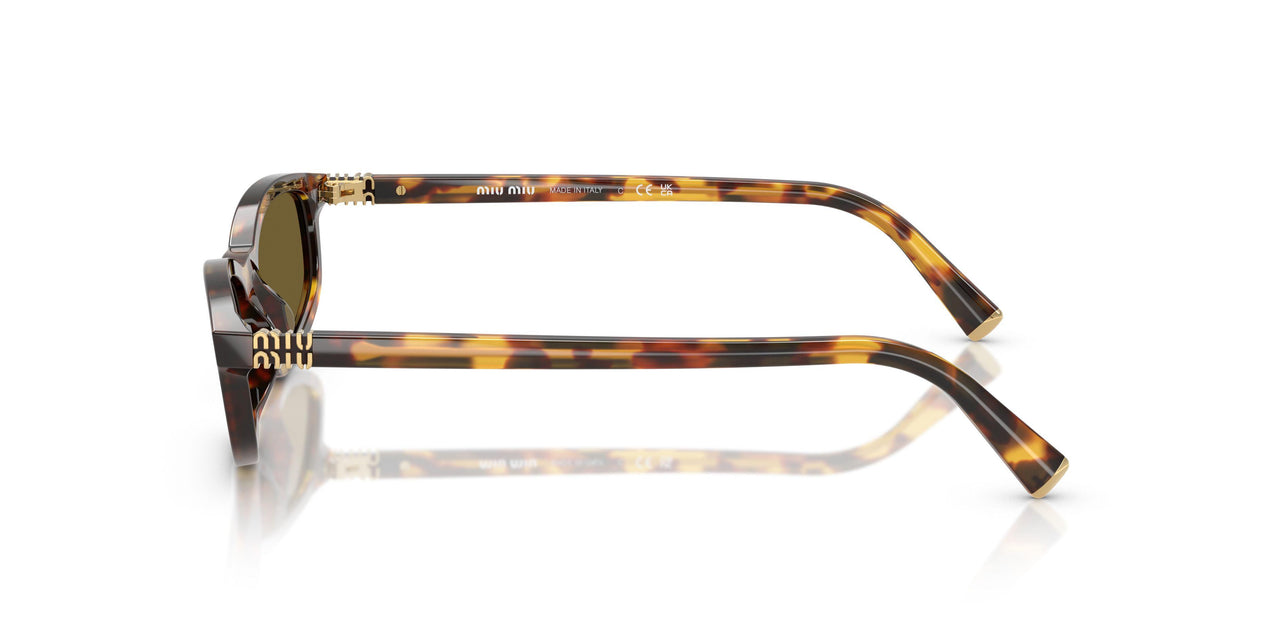 14L09Z - Tortoise - Dark Brown