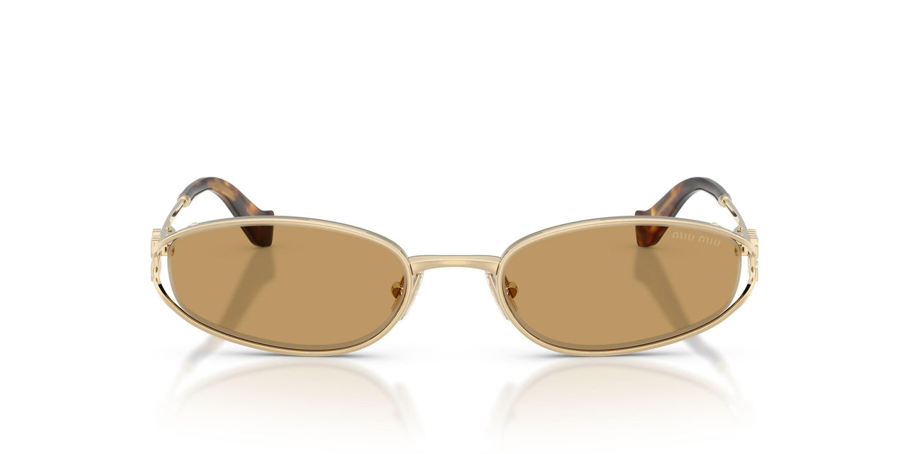 ZVN10Y - Gold - Brown