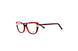 Divaldi DVO8206 Eyeglasses