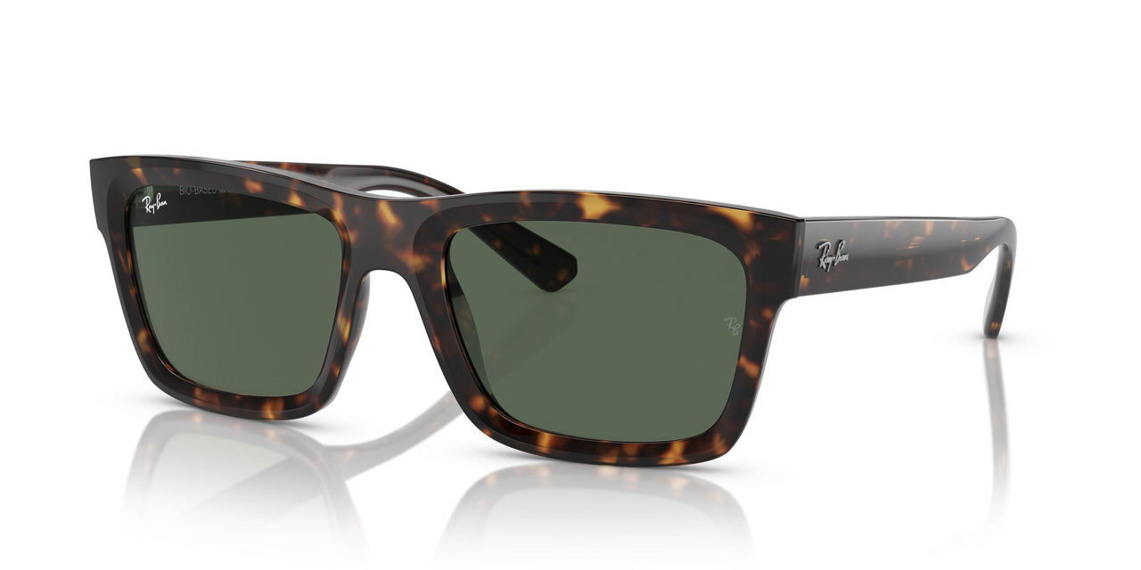 135971 - Tortoise - Dark Blue