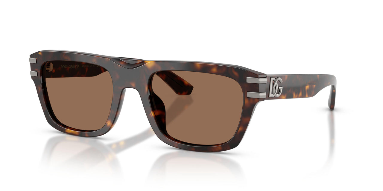502/73 - Tortoise - Dark Brown