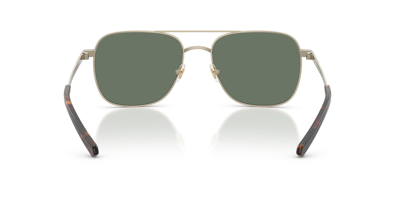 10263H - Gold - Dark Green Solid