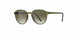 5630 - DEEP NATURE - Olive Green Gradient