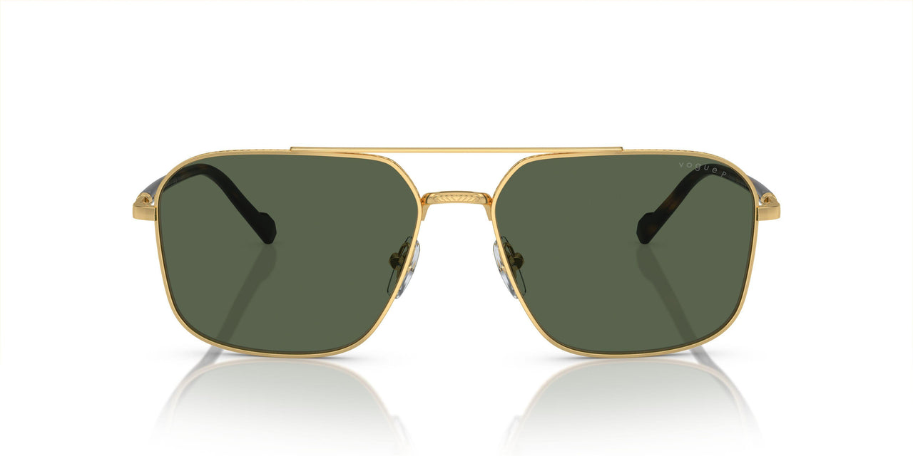 280/9A - Gold - Dark Green Polarized