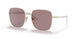 ZVN06I - Gold - Light Purple Brown