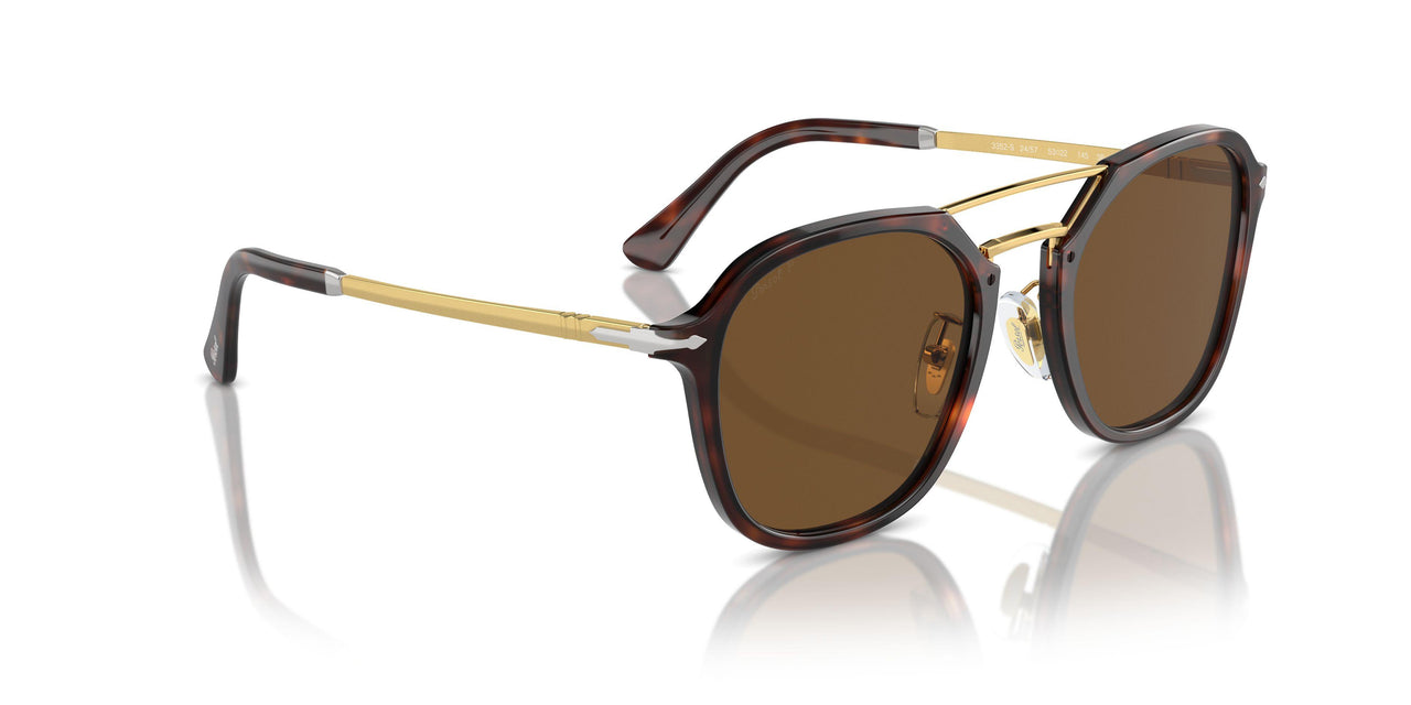 24/57 - Tortoise - Polar Brown