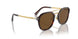 24/57 - Tortoise - Polar Brown