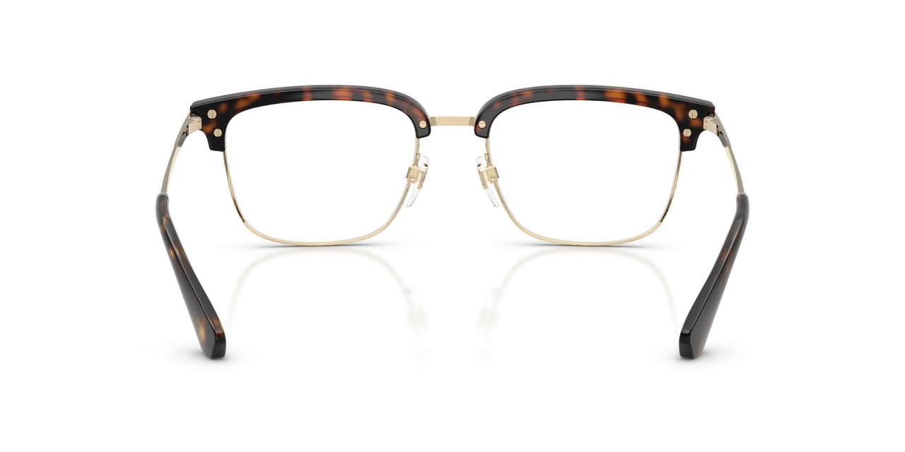 3002 - Brown