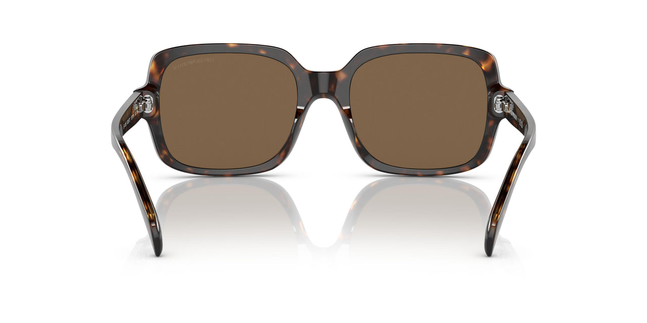 502673 - Havana - Dark Brown
