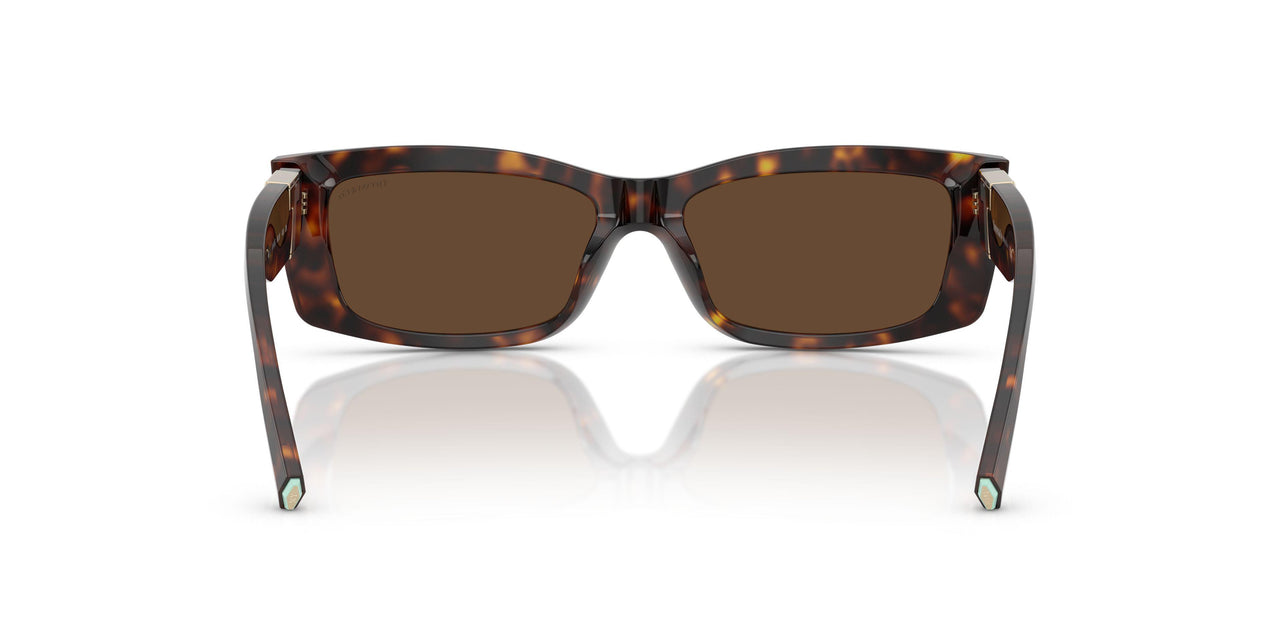 80153G - Tortoise - Light Brown