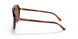 954/33 - Havana - Brown