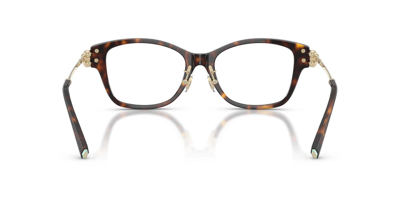 8015 - Tortoise