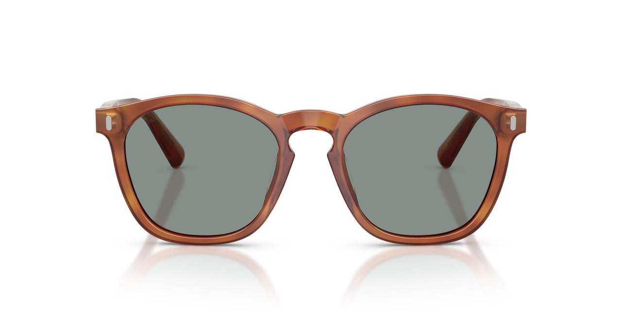 96/56 - Brown - Blue