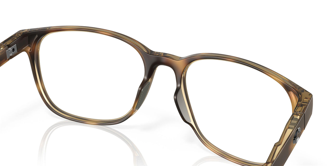 802202 - Tortoise