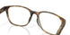 802202 - Tortoise