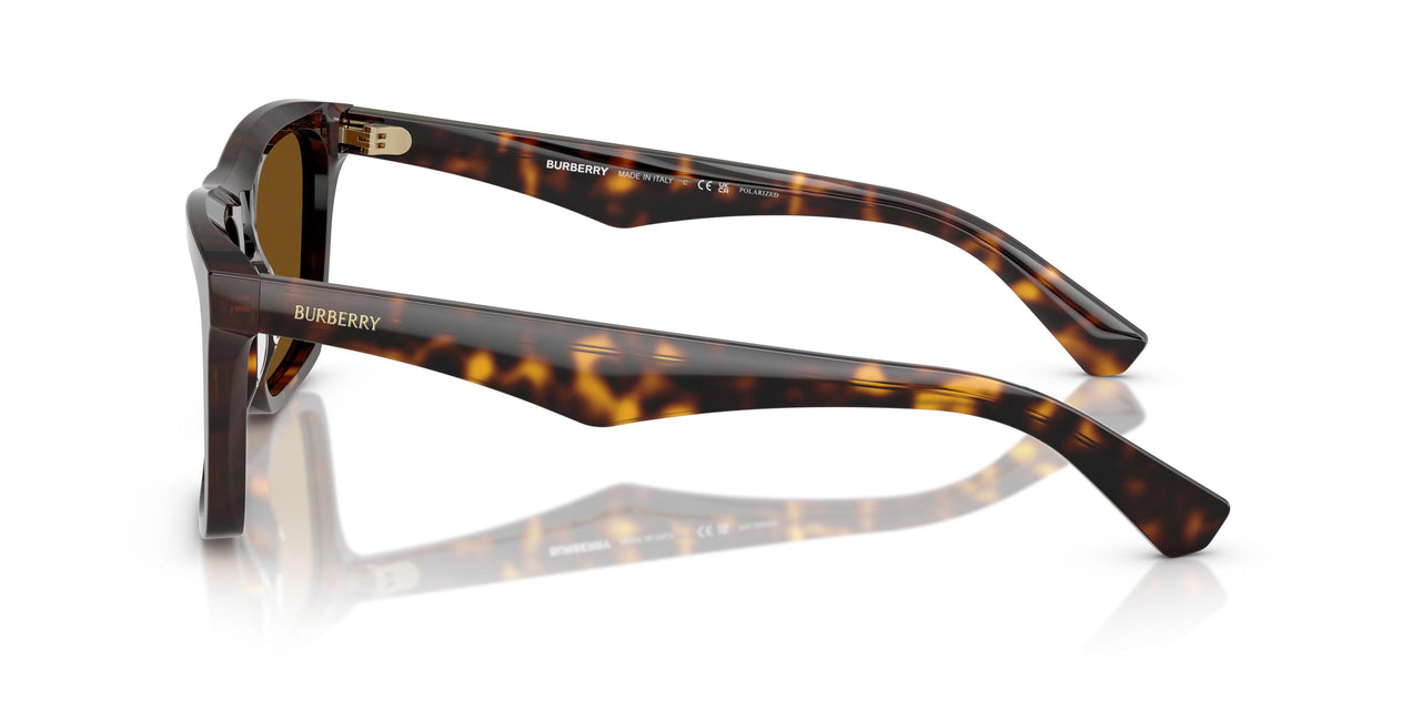 300283 - Brown - Dark Brown Polar