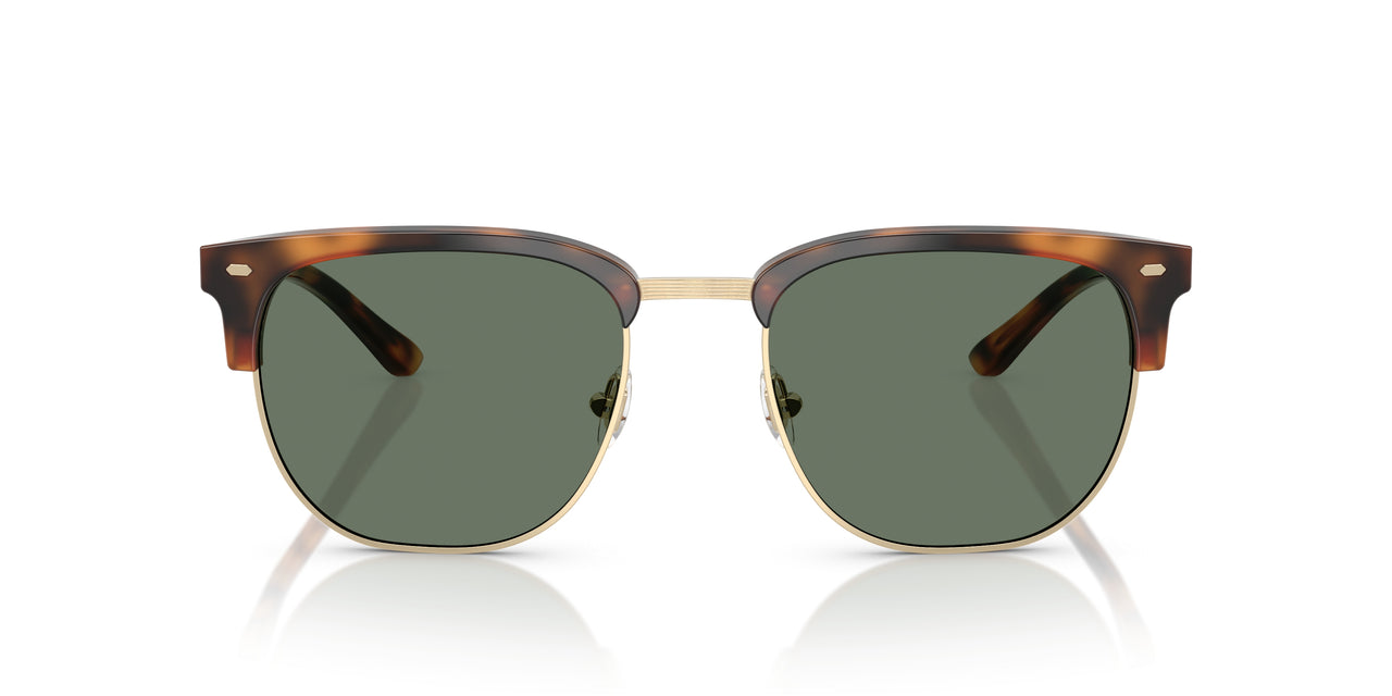 61613H - Tortoise - Dark Green Solid