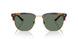 61613H - Tortoise - Dark Green Solid