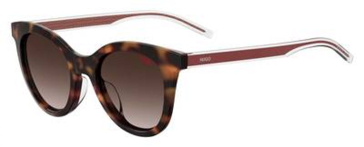 Hugo Hg1043 Sunglasses