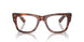 2144 - Brown - Clear