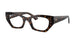 8320 - Tortoise - Clear