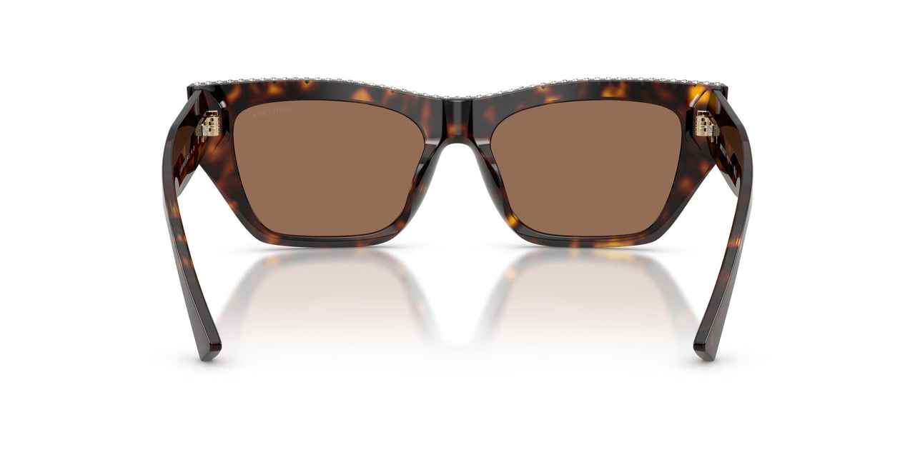 500273 - Tortoise - Dark Brown
