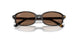 152/73 - Tortoise - Dark Brown