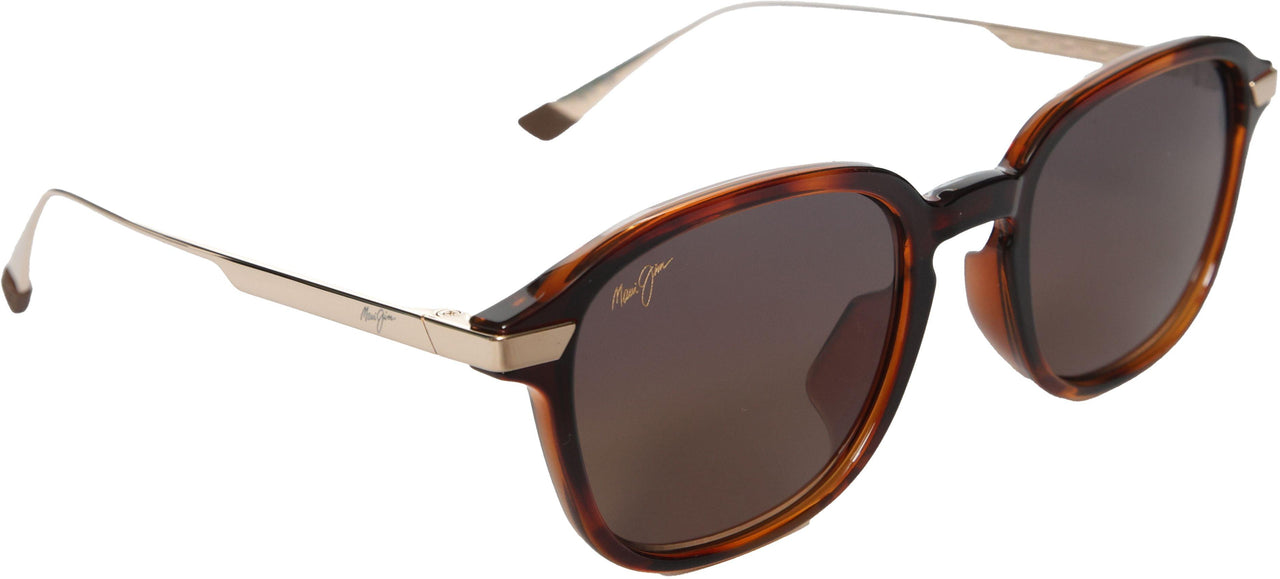 10 - Shiny Dark Havana With Gold - Hcl Bronze