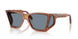 96/56 - Brown - Light Blue