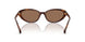 614913 - Tortoise - Brown