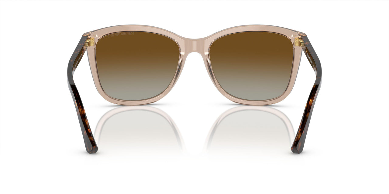 5850T5 - Brown - Gradient Brown Polar